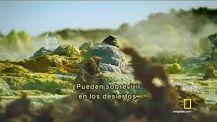 Una Extraña Roca - Ep5 - Los Aliens