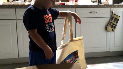 Toy Surprise with Logan - Captain America Civil War Box