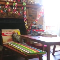 These babies are so funny!