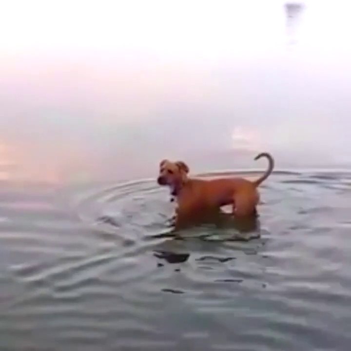 When you try some tricks but it fails