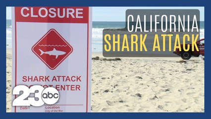 California swimmer describes seeing shark attack her