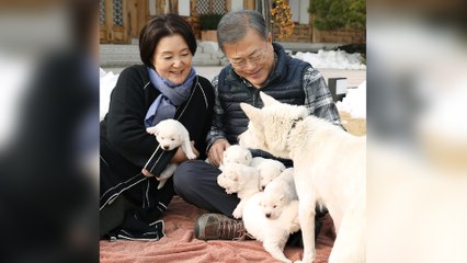 Former South Korean leader Moon Jae-in to give up dogs given by Kim Jong-un