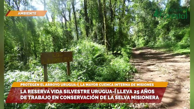 La Reserva Vida Silvestre Urugua í lleva 25 años de trabajo en conservación de la selva misionera