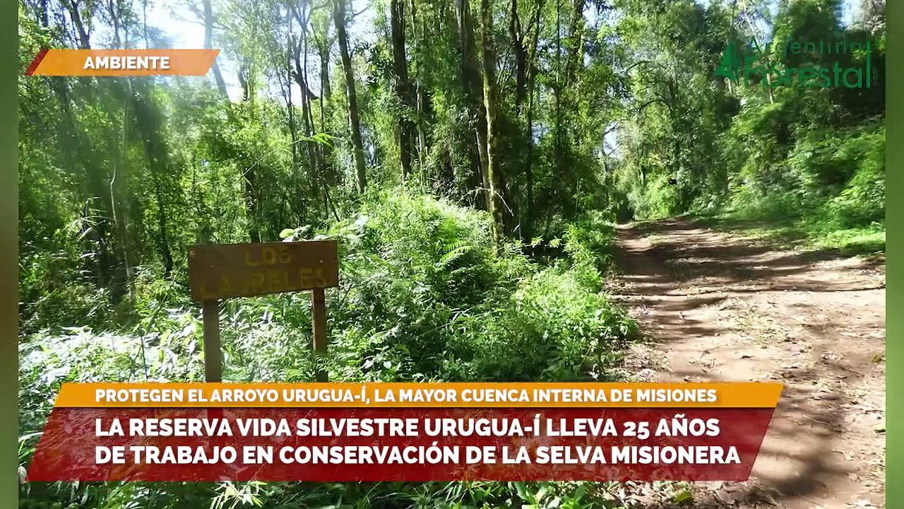 La Reserva Vida Silvestre Urugua í  lleva 25 años de trabajo en conservación de la selva misionera