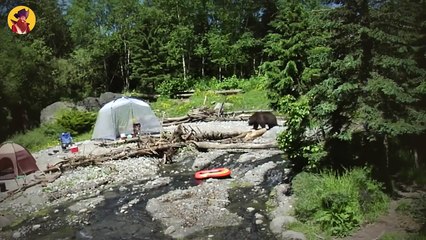 55 Moments Caught On Camera You Can’t Drink And Watch