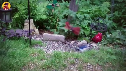 15 Merciless Birds On The FBI's Most Wanted List