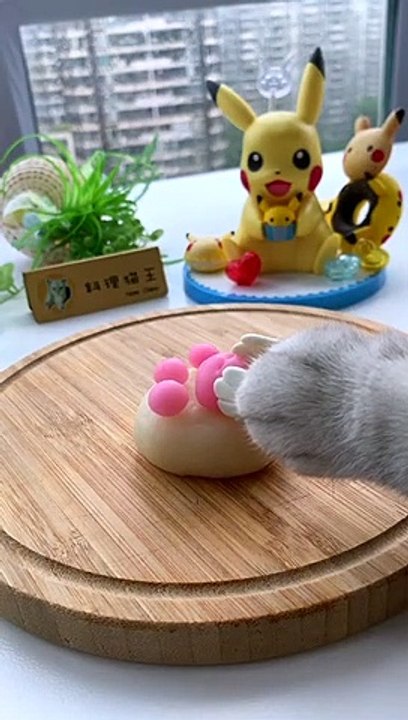 Cat Cooking Food ASMR -- Iced Pink Watermelon Smoothie-Cooking Cat