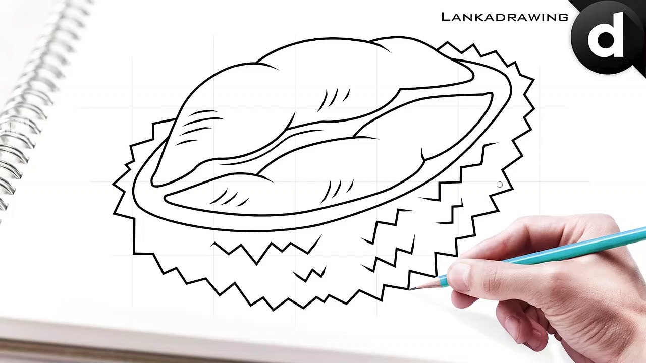 learn to draw durian fruit simple and easy