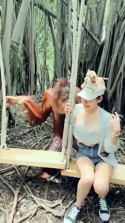 orangutan tau ajah yang disukai banyak orang #shorts