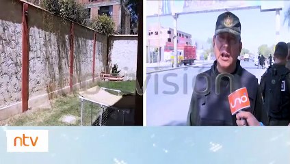 "Beto, un pequeño can defendió su hogar": Mordió a los delincuentes que ingresaron a su domicilio