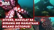 Divers, nagulat sa ginawa ng namataan nilang octopus! | GMA News Feed