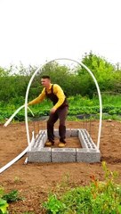 Garden decor ideas