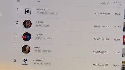 '슈퍼챗' 상위 5개 채널, 혐오콘텐츠로 7천만 원 수익 / YTN