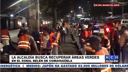 La alcaldía busca recuperar áreas verdes de la capital