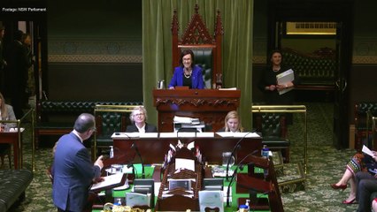 Port of Newcastle discussion in NSW Parliament