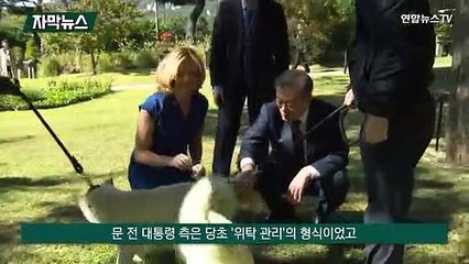 [자막뉴스] 文풍산개 정부 반환 놓고 진실공방…여야 가세