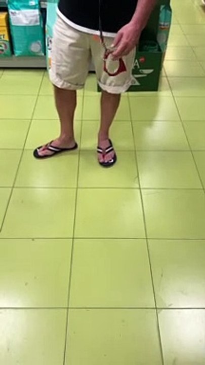 Dog Puts on Its Own Collar
