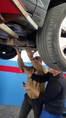 Freeing a Cat and Dog Trapped Under an Audi