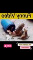 funny dog  park with monkey #viralshorts #viral #ytshorts #short #shortvideo #trending