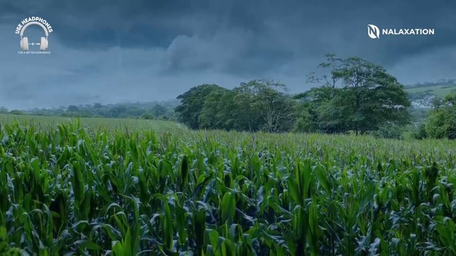 1 Hour of Piano Relaxing Music Rain Sounds For Sleeping, Studying, Healing and Meditation