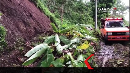 Longsor Terjang Jember, 4 Rumah Rusak 1 Orang Tewas Tertimbun
