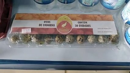 Les œufs de caille semblent éclore sur une étagère de supermarché - Buzz Buddy