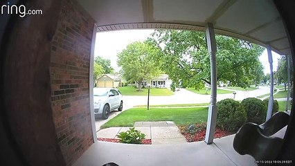 L'oiseau picore à la sonnette de l'anneau - Buzz Buddy