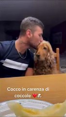 Un chien mignon rappelle à l'homme les baisers - Buzz Buddy