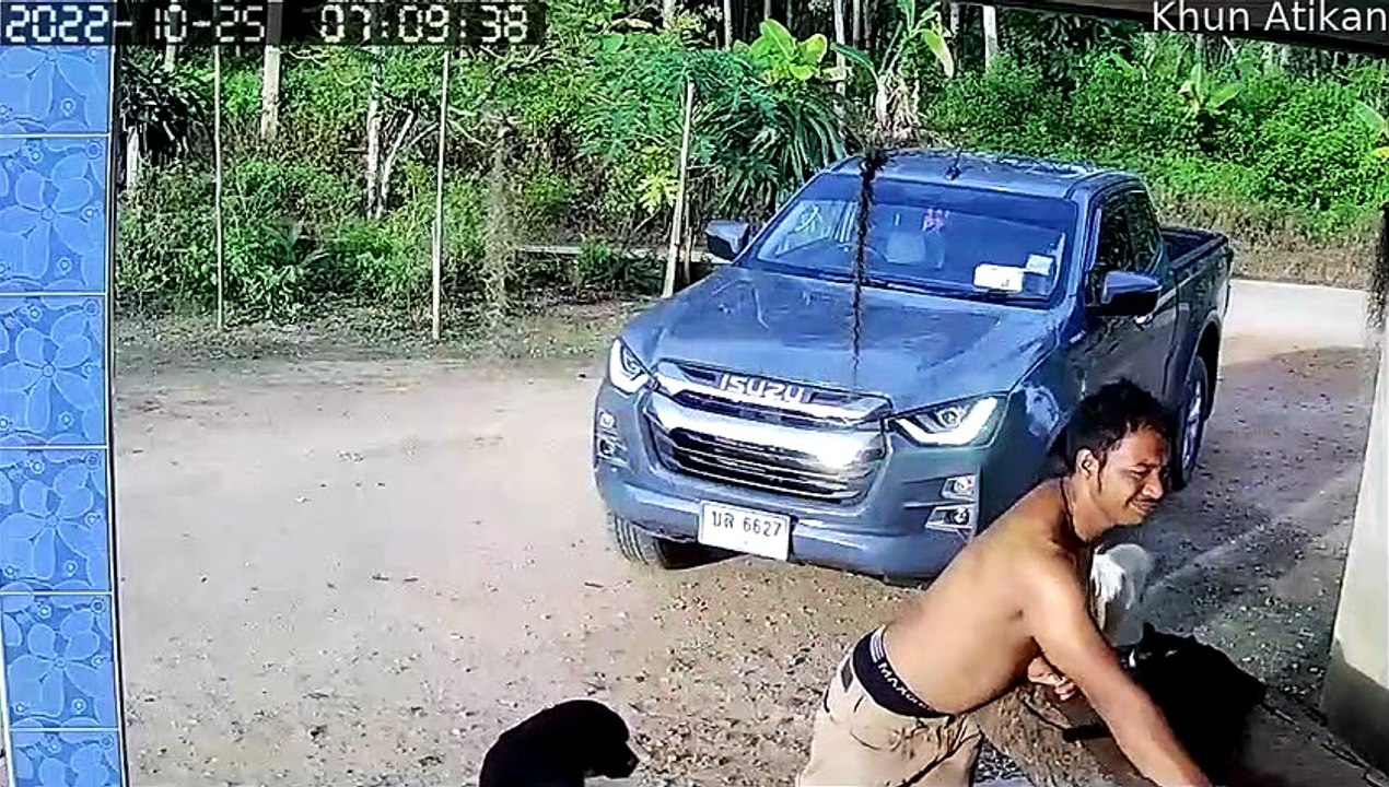 Un homme oublie une pause de stationnement pour un camion - Buzz Buddy