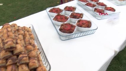 BAĞCILAR'DA 8'İNCİ KESTANE HASADI YAPILDI