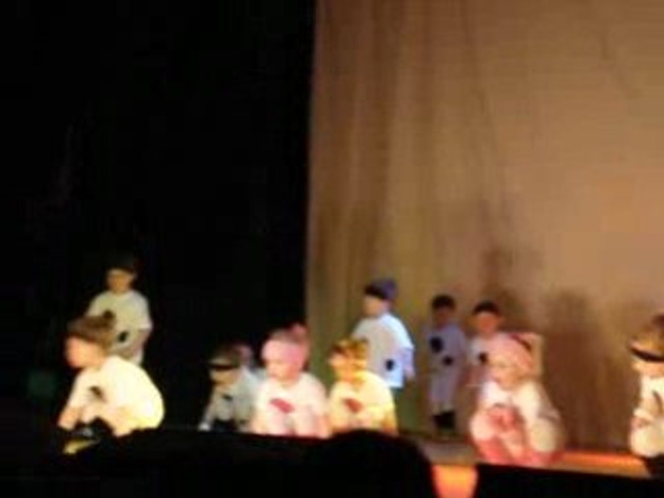 Fête du Printemps 2008'