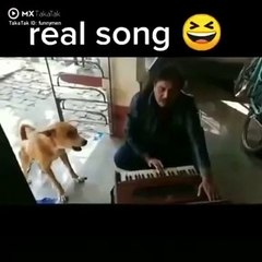 #funny video status #funny video full screen #Funny video  #funny video #मजेदार वीडियो