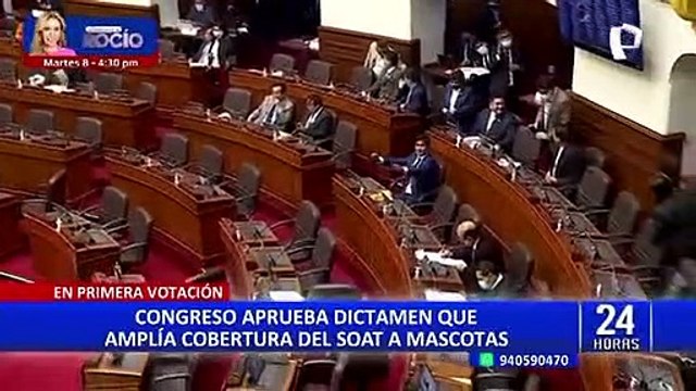 Congreso aprueba dictamen que amplía cobertura del SOAT a mascotas