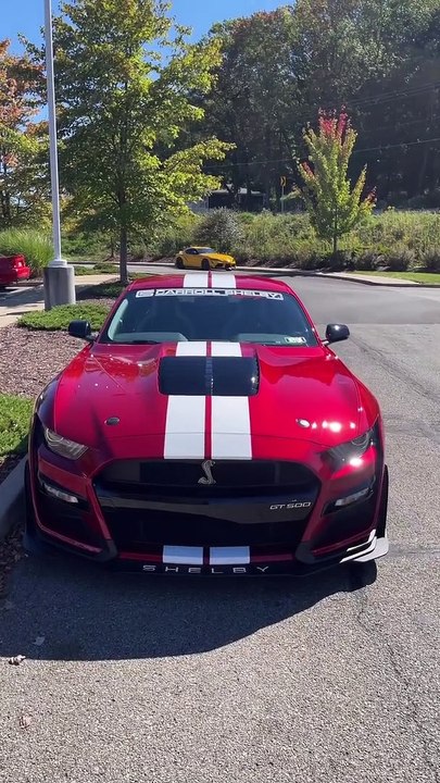Mustang Shelby gt500#shelby500#shorts