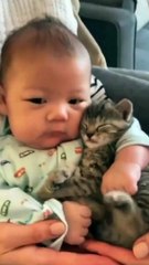 Bayi dan kucing ini sangat bersahabat
