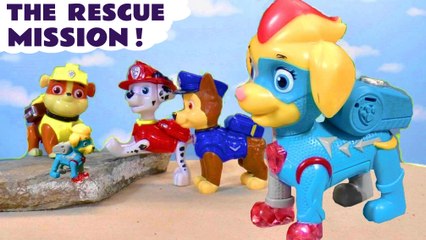 Paw Patrol RESCUE Mission Story with the Mighty Pups and Friends Cartoon for Kids and Children