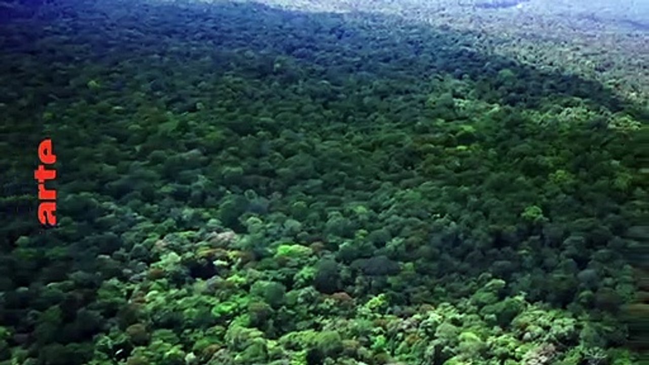 Amazonie les civilisations oubliées de la forêt - 12 novembre