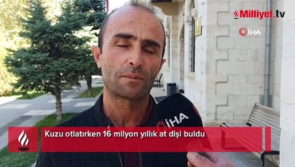 Kuzu otlatırken 16 milyon yıllık at dişi buldu