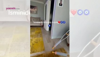 Bildiğiniz evcil hayvanlara benzemiyor! Adını duyunca salona gelen kertenkele...