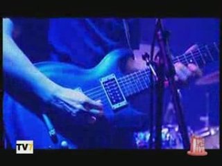 ANDRES & LES CHIENS GIRAFES - NON MADAME