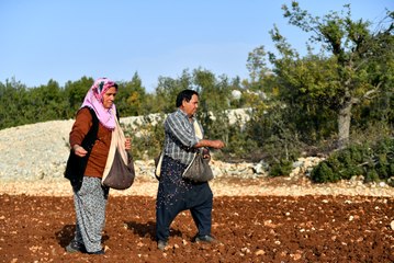 Ata tohumuna kavuşan Mersinli çiftçi: Yiyecek bazlamamızın unu yoktu