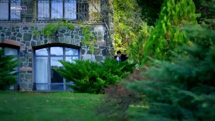 وادي الذئاب الجزء الثامن الحلقة 29