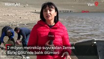 Zernek Baraj Gölü'nde balık ölümleri