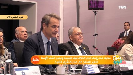 رئيس الوزراء اليوناني: ناقشت مع الرئيس السيسي تصدير الطاقة إلى أوروبا