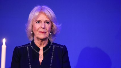 Queen Camilla is related to singers, actors and even royalty