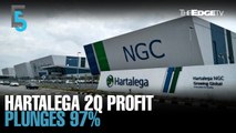 EVENING 5: Hartalega’s 2Q profit plunges 97%