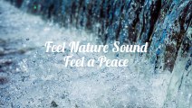 Rain and Water Sound Effect - Sound of Nature For Therapy