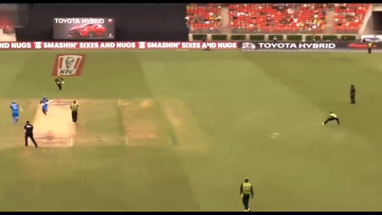 Cricket - Top Ten Funny Moments | Best Moments in Cricket Ever #cricket #cricketvideo #funny #funnycricket