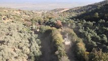 Efeler Belediyesi Zeytinlik Yollarını Açıyor