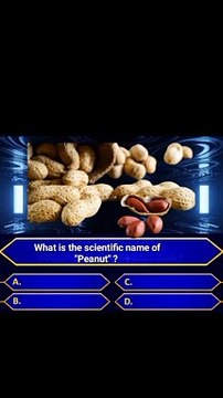 Intresting Questions | GK Questions | Quiz Questions | BVN Nayak